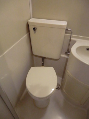 Toilet. Western-style toilet