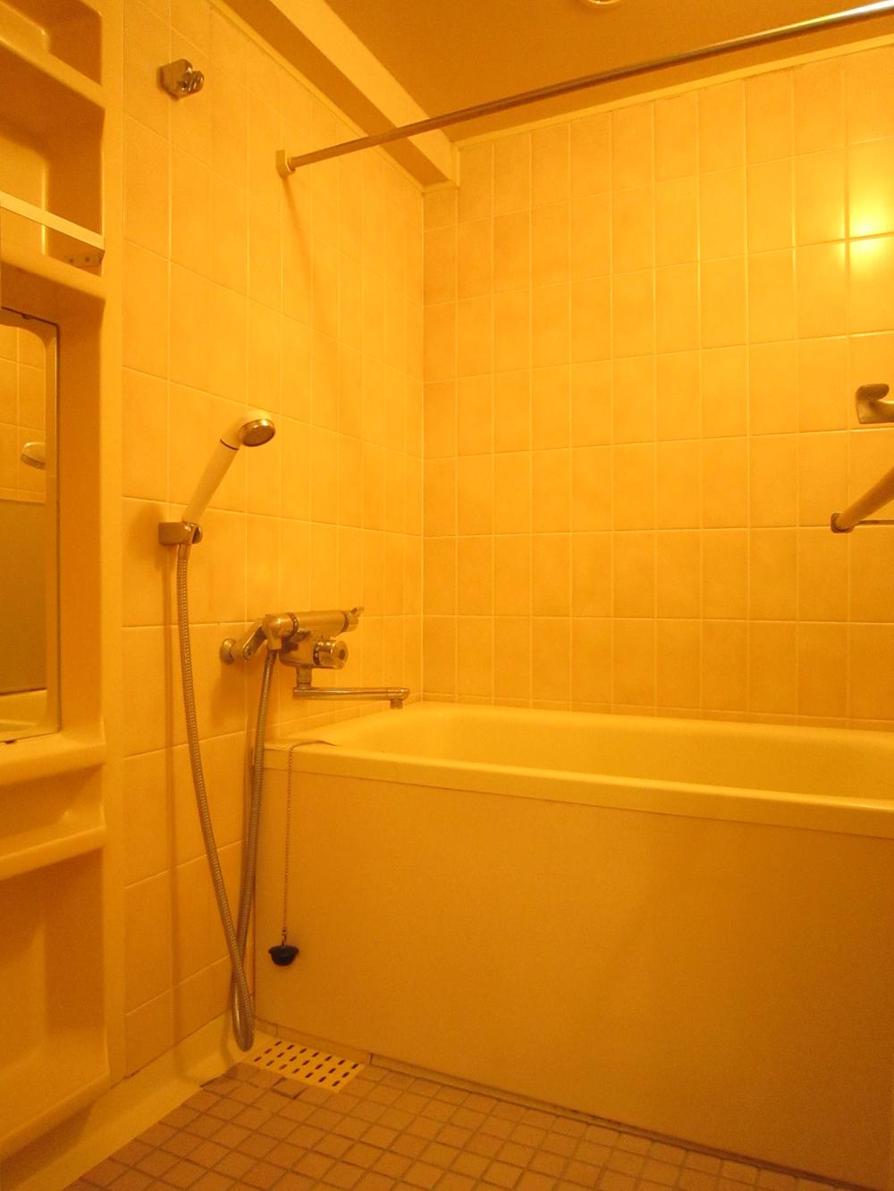 Bathroom. Indoor (June 2013) Shooting