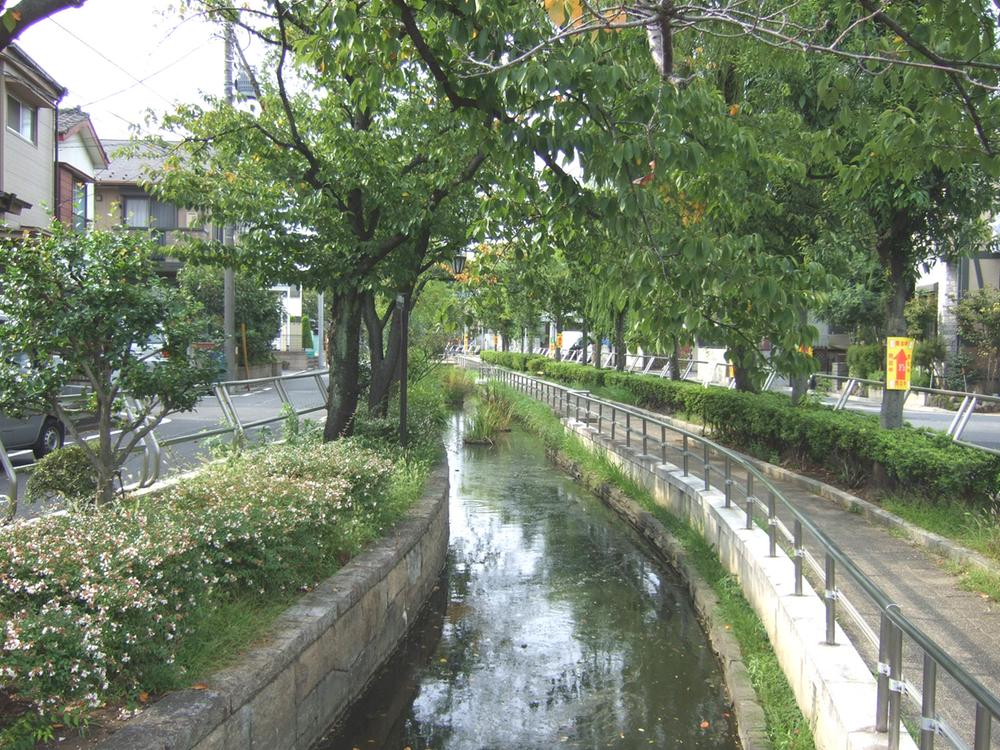 Streets around. Recommend Minuma bill Water Park If you enjoy the holiday 100m to Minuma fee Water Park. You can enjoy nature and crayfish fishing in cherry tree to the pool