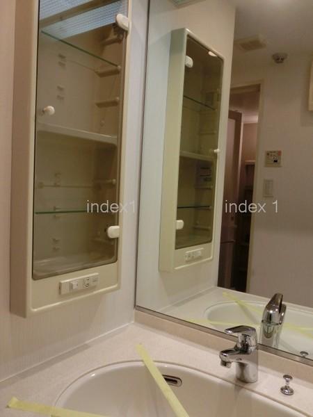 Wash basin, toilet. Wash space with a cleanliness