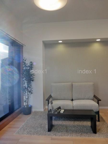 Living. Bright sunshine will plug from window!