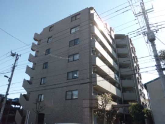 Local appearance photo. Mansion appearance