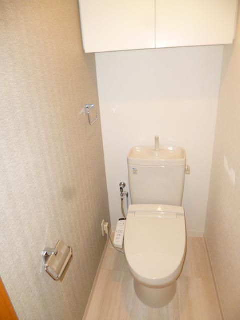 Toilet. Shower toilet