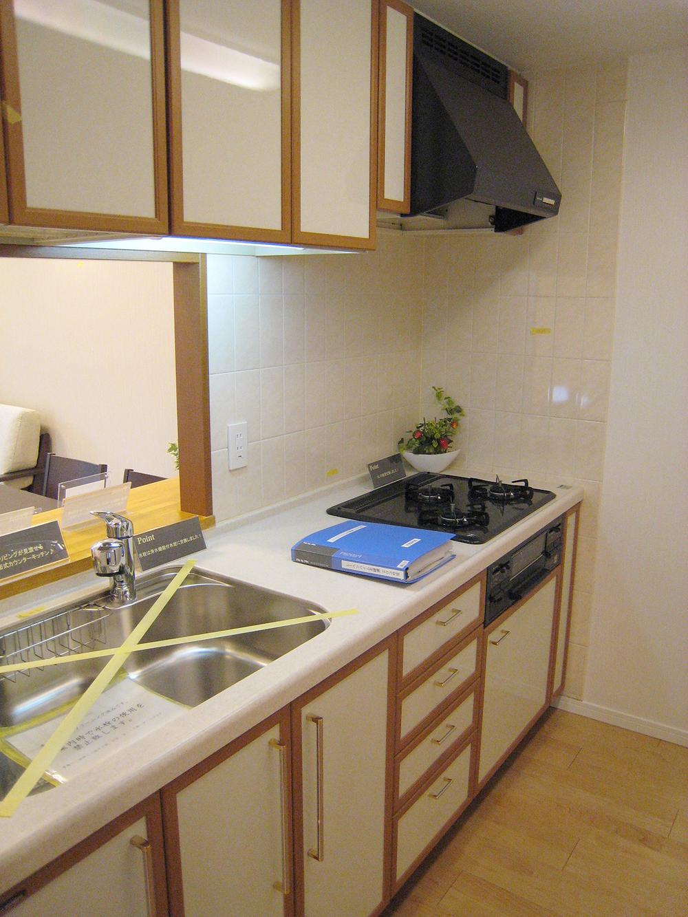 Kitchen. I polished the kitchen sink.