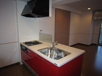 Kitchen. System kitchen