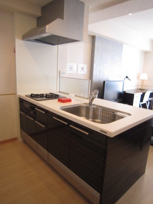 Kitchen. A feeling of opening party kitchen specification (with disposer)