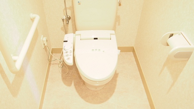 Toilet