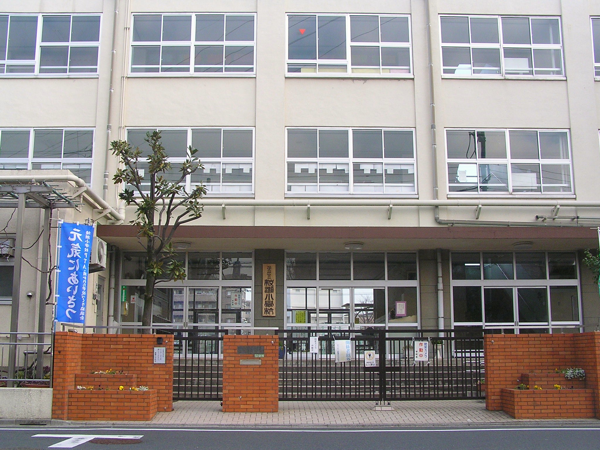 Primary school. 250m to Adachi Ward Ayase elementary school (elementary school)