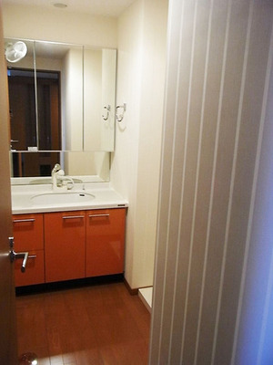 Washroom. Bathroom Vanity