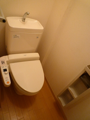 Toilet. Warm water washing toilet seat