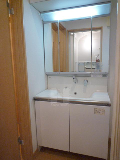 Wash basin, toilet. Three-sided mirror and hand shower faucet type. Plenty of storage capacity.