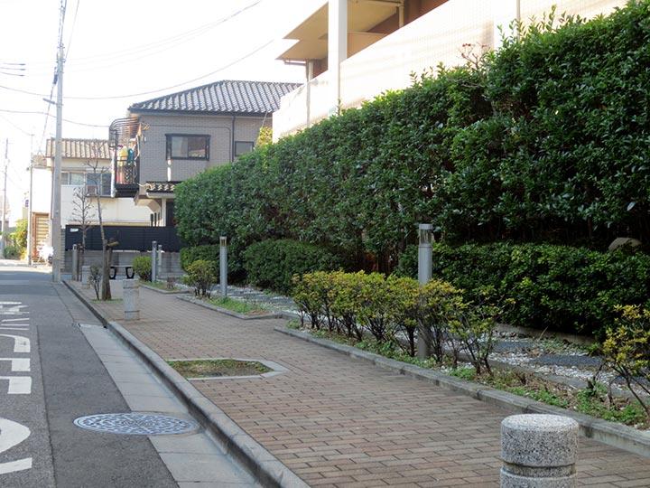 Other common areas. Mansion sidewalk