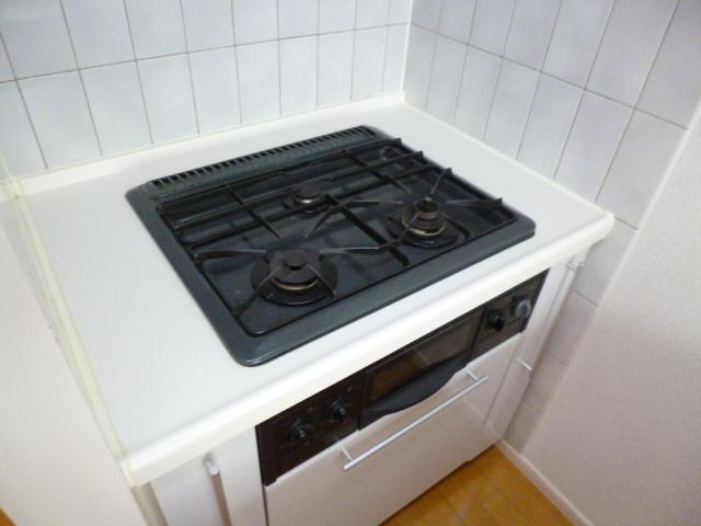 Other. Gas stove