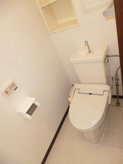 Toilet. Shower toilet