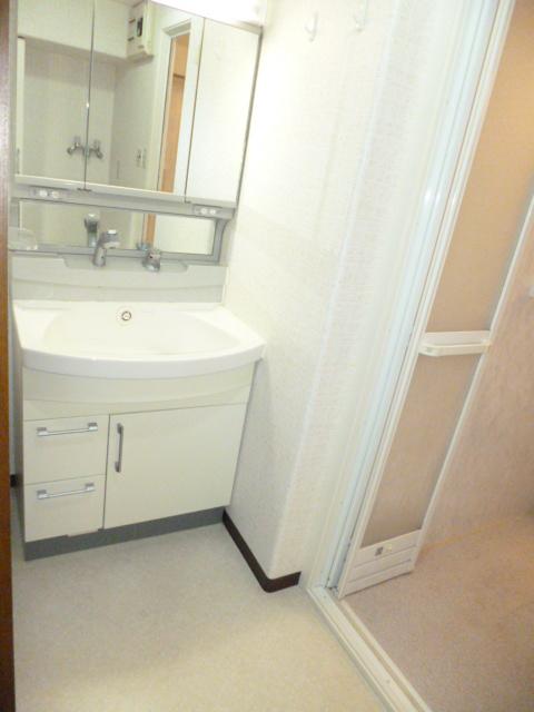 Wash basin, toilet. Shower basin