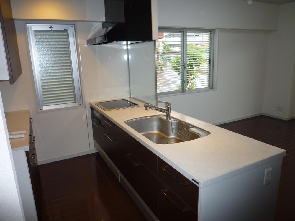 Kitchen. Indoor (11 May 2011) Shooting