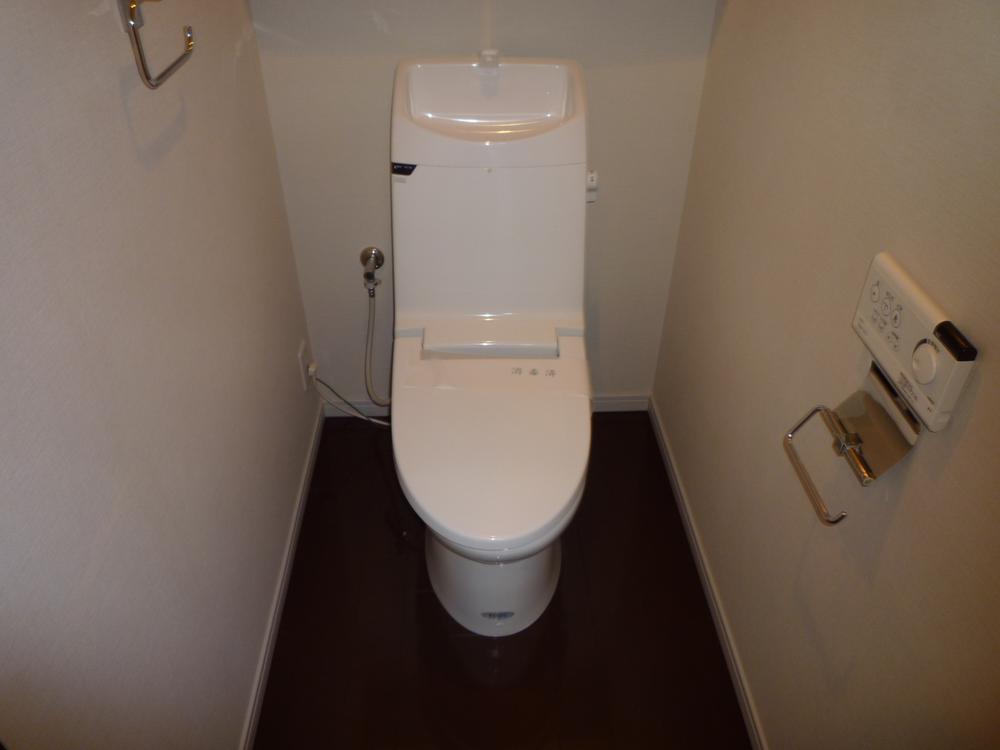 Toilet. Indoor (11 May 2011) Shooting