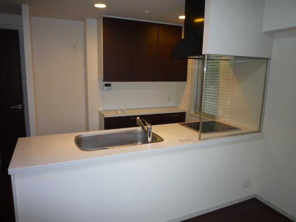 Kitchen. Indoor (11 May 2011) Shooting