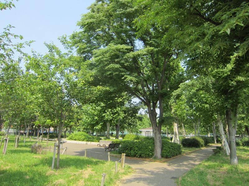 park. Municipal Suwa until the tree Nishikoen 860m