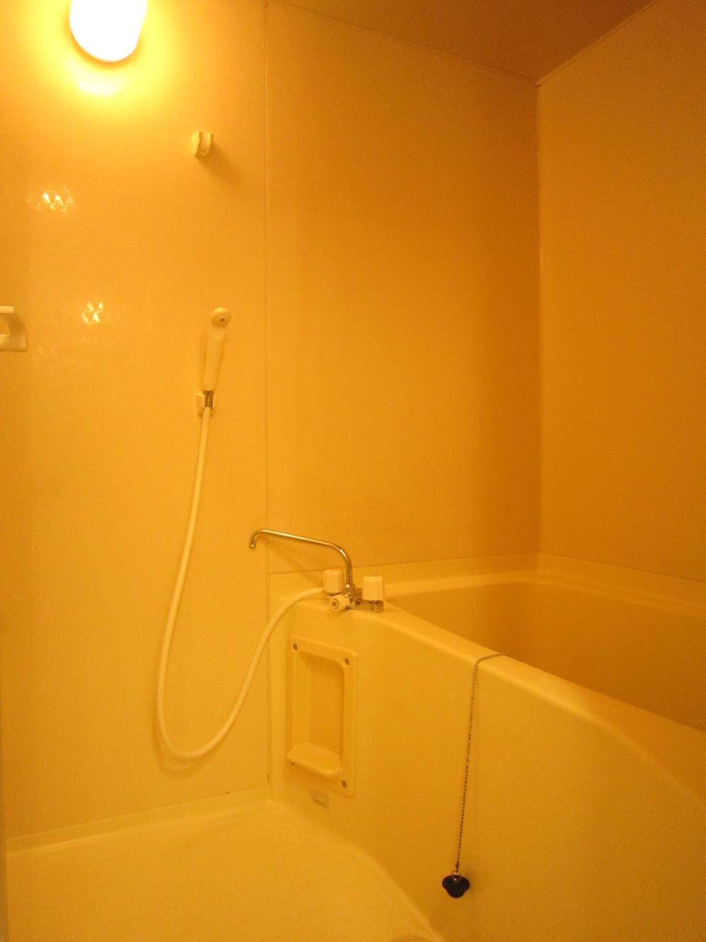 Bathroom. Indoor (11 May 2013) Shooting