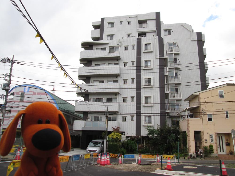 Local appearance photo