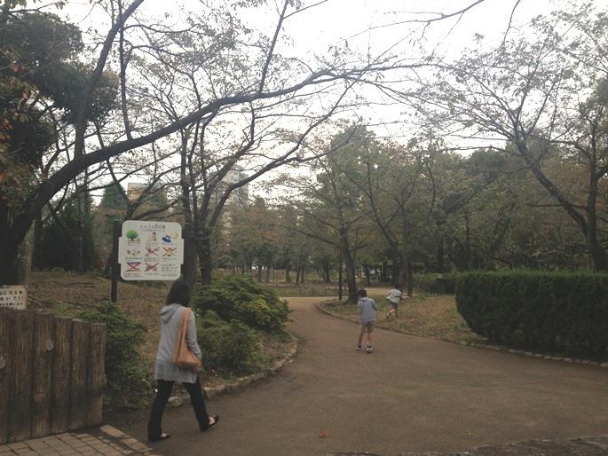 park. 234m until the iris marsh park