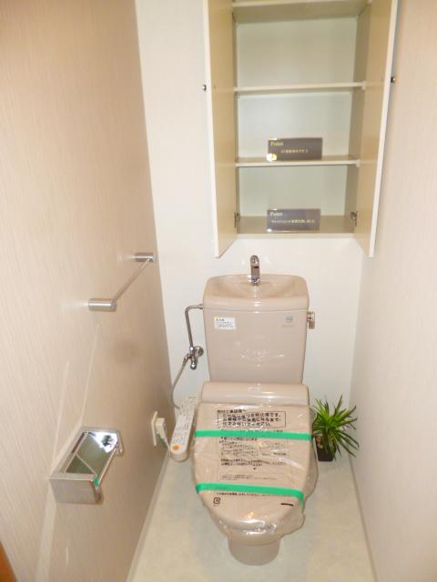 Toilet. Shower toilet