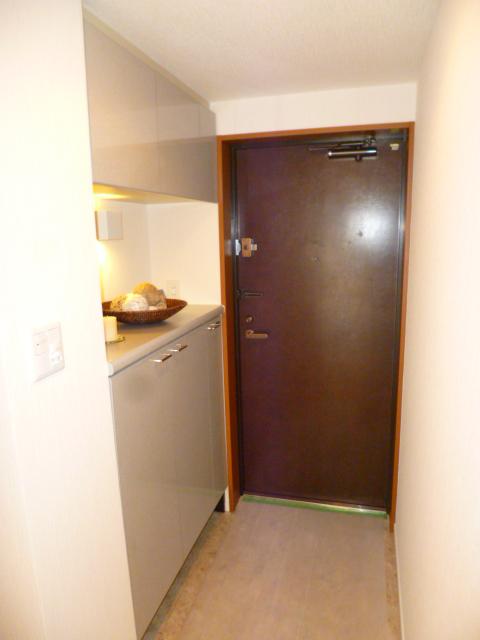 Entrance. Footwear purse