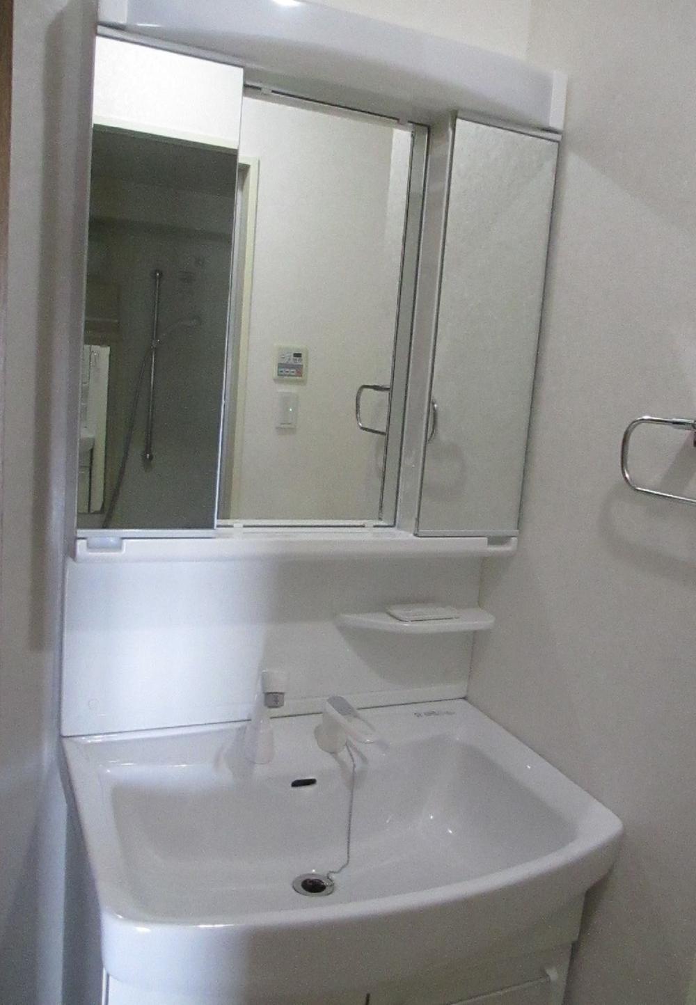 Wash basin, toilet. Vanity with hand shower.