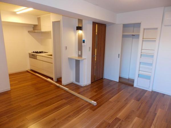 Other introspection. Living storage and telephone stand