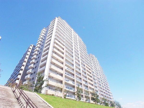 Other. Full flat floor