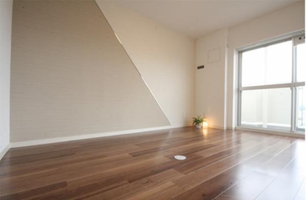 Non-living room. Same specifications is a picture.