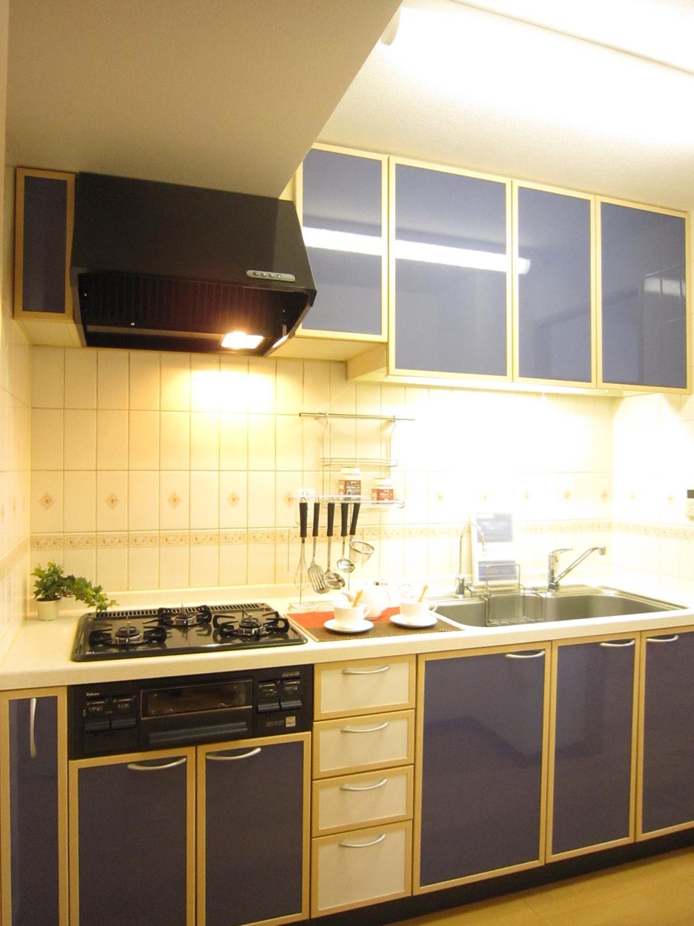 Kitchen. Indoor (12 May 2013) Shooting