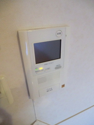 Security. TV monitor phone