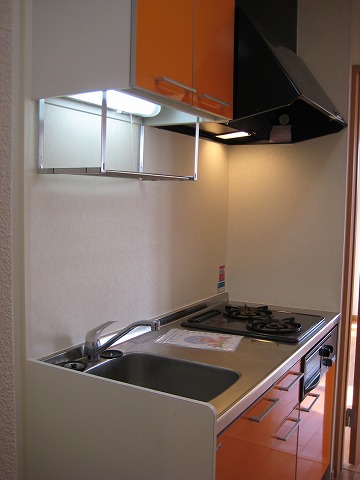 Kitchen. System kitchen