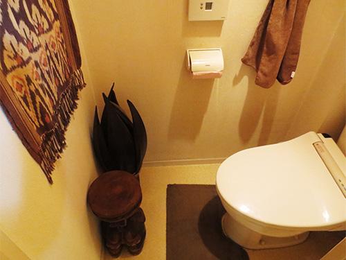 Toilet. Indoor (June 2013) Shooting