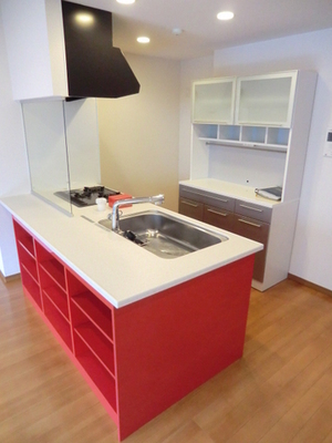 Kitchen. Counter system with kitchen disposer