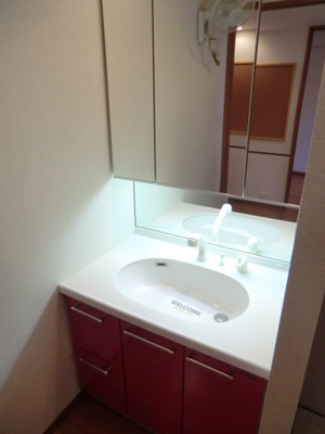 Washroom. Three-sided mirror with shampoo dresser