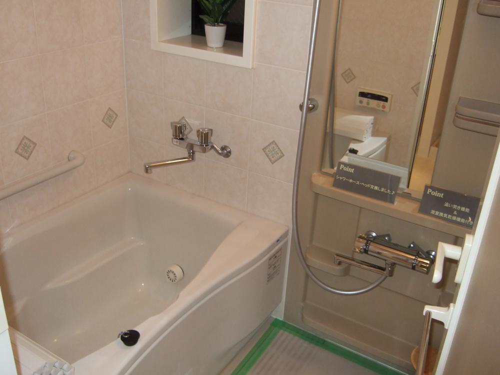 Bathroom. Indoor (10 May 2013) Shooting