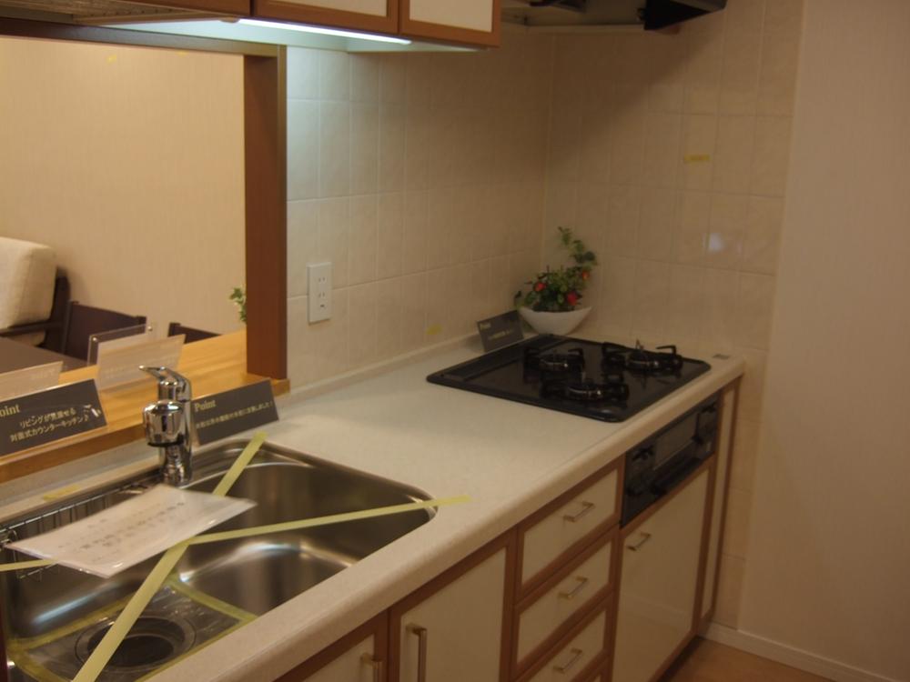 Kitchen. Indoor (10 May 2013) Shooting