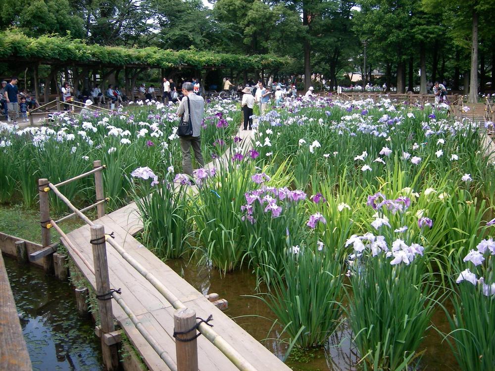 park. 271m until the iris marsh park