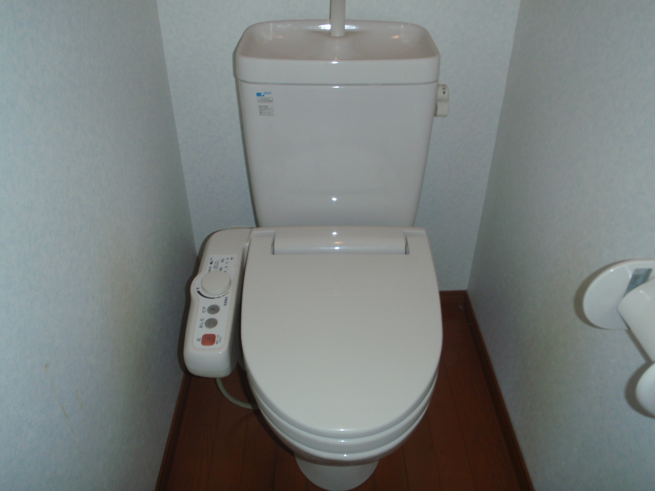 Toilet. Bidet