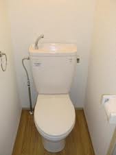 Living and room. Toilet