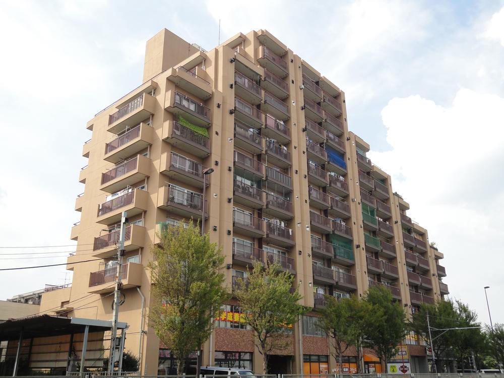 Local appearance photo. Local (September 2013) Shooting