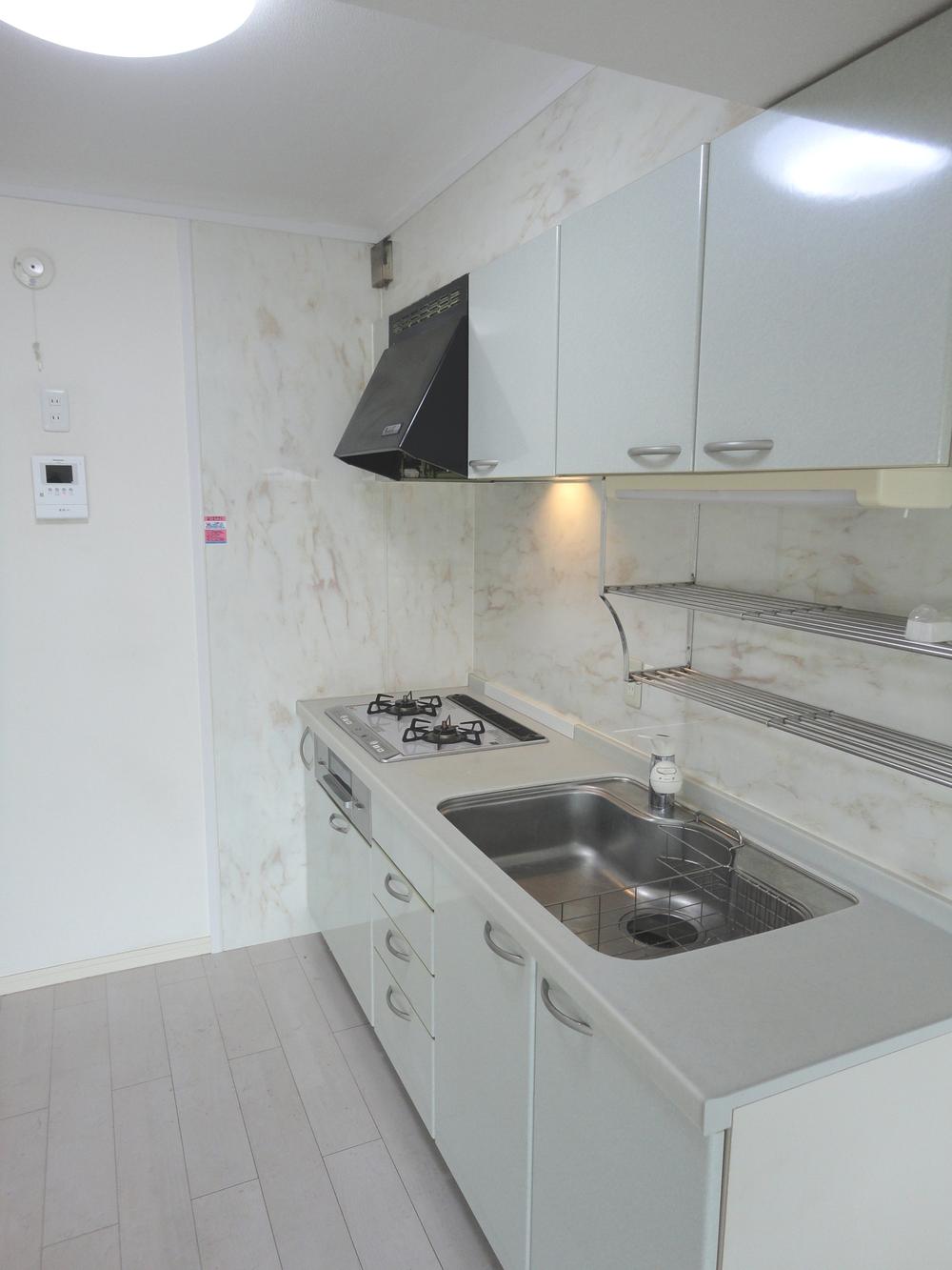 Kitchen. Indoor (September 2013) Shooting