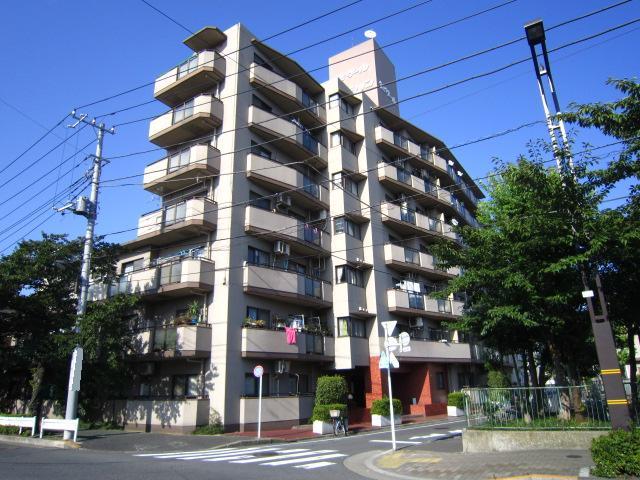 Local appearance photo. Indoor (12 May 2013) Shooting