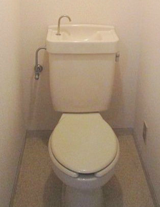 Toilet. The same type