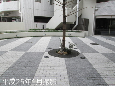 Adachi-ku, Tokyo Toneri 5