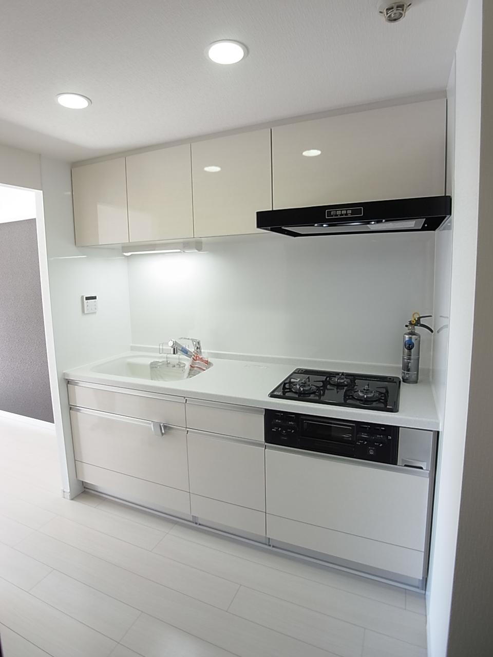 Kitchen. LIXIL made "San Vallier <Amyi>" series of system Kitchen