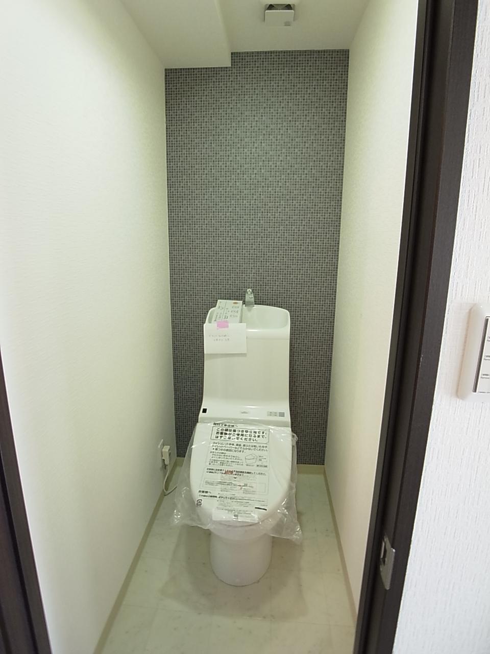 Toilet. Toilet of the new mounting!